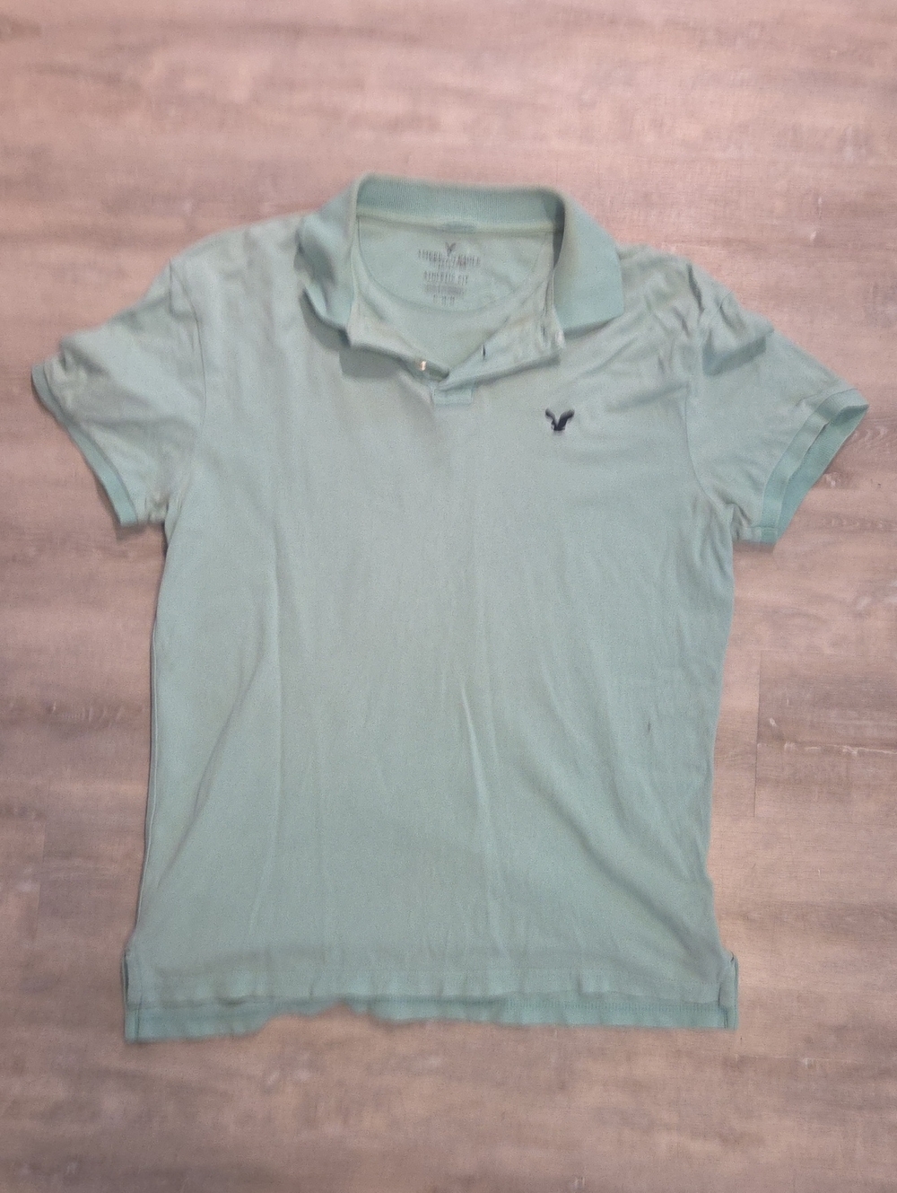 American Eagle Outfitters Men’s Light Mint Polo Shirt